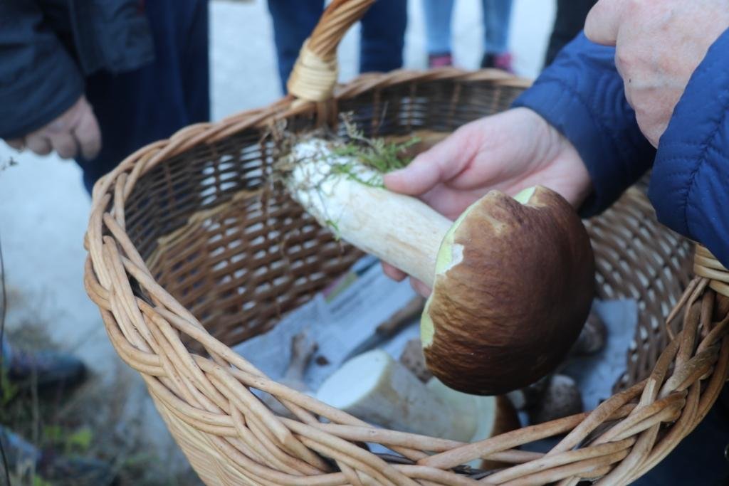 Foto:cc BI OFFENe HEIDe